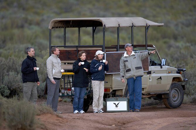 Cape Town Safari Big 5 experience all inclusive - Getting back to Cape Town: plan for a full morning