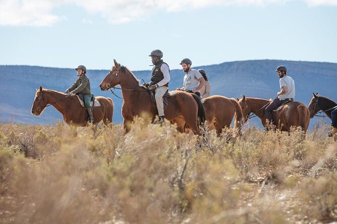 Cape Town Safari Big 5 experience all inclusive - Arrival rhythm: breakfast first, then game drive