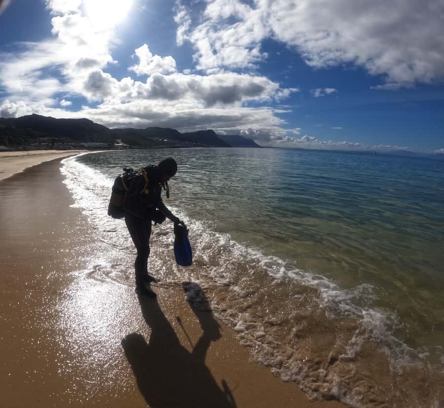 Cape Town: Scuba Diving Experience for Beginners - The Included PADI Discover Scuba e-Learning: Why It Helps You More Than You Think