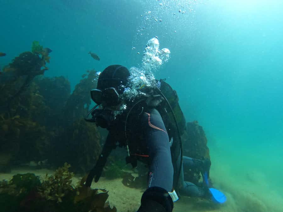 Cape Town: Scuba Diving Experience for Beginners - Simon’s Town Setup: Choosing the Right Spot for Your Day