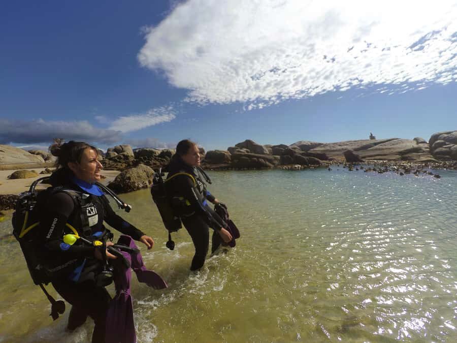 Cape Town: Scuba Diving Experience for Beginners - Your 1.5-Hour Underwater Session: Wildlife You Can Actually Spot