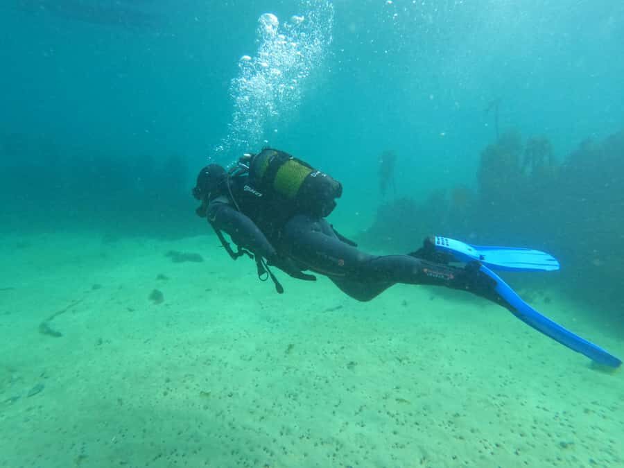 Cape Town: Scuba Diving Experience for Beginners - Equipment Provided (and What You’ll Want to Do Before You Arrive)