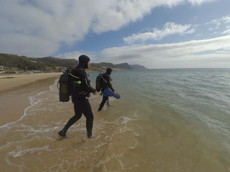 Cape Town: Scuba Diving Experience for Beginners - Jubilee Square Meet-Up: Just Nuisance and a No-Stress Gear Check