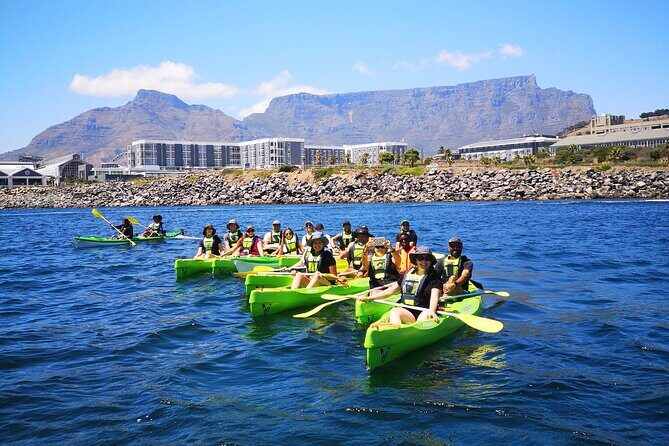 Cape Town Sea Kayaking Adventure launching from V&A Waterfront - Getting your sea legs: what the guide and life jackets mean for beginners