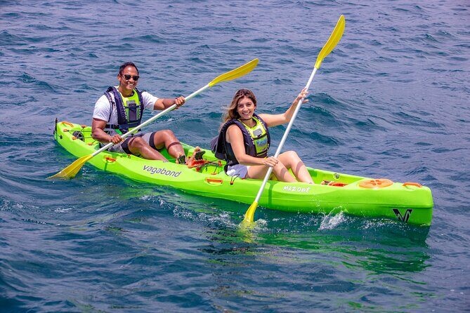 Cape Town Sea Kayaking Adventure launching from V&A Waterfront - Wildlife spotting: seals, dolphins, sunfish, and even penguins