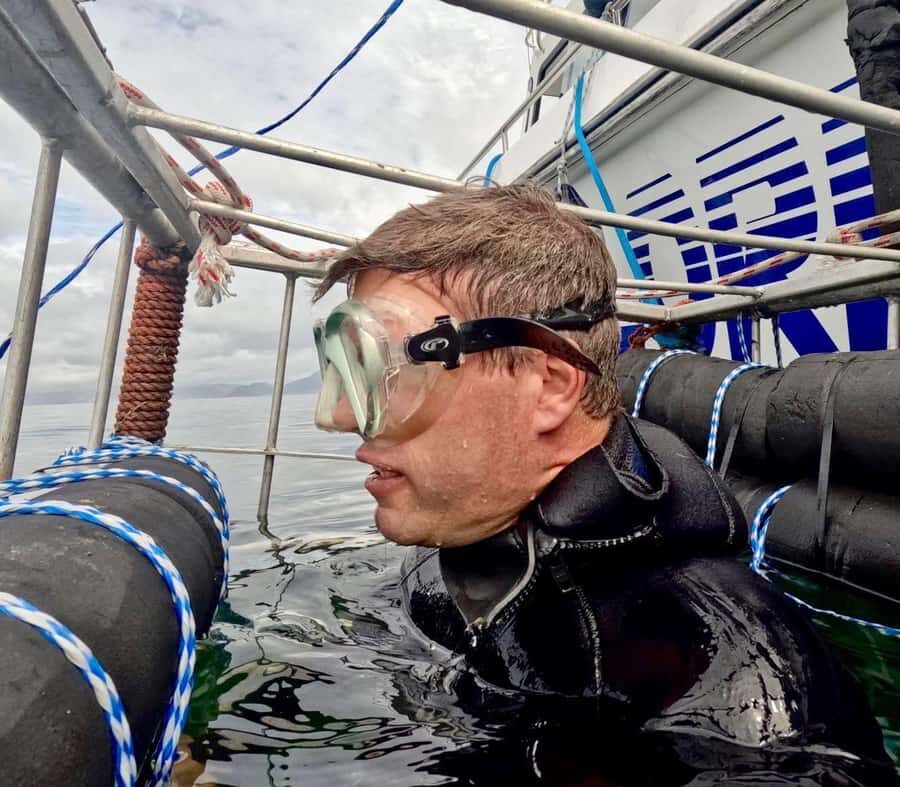 Cape Town: Shark Cage Diving with Snacks and Soft Drinks - The boat ride: snacks, hot drinks, and wildlife odds