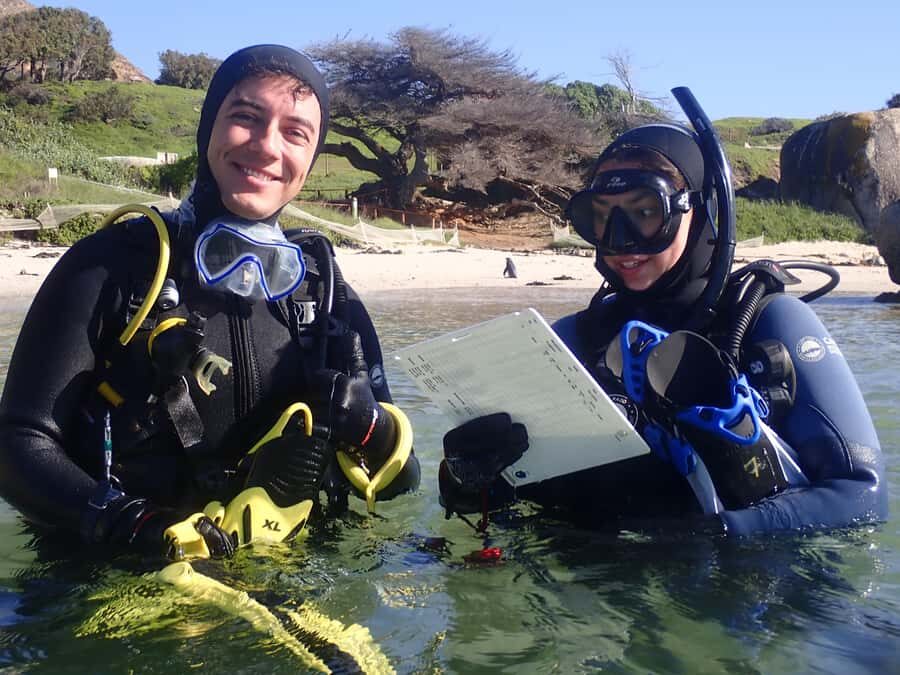 Cape Town: Shark Science SCUBA Diving Experience - Ocean HUB in Simon’s Town: the setup before you go underwater