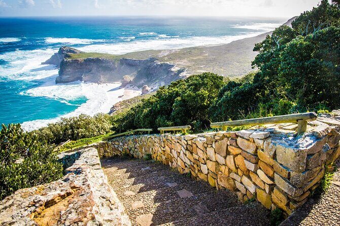 Cape Town Shore Tour: Table Mountain, Penguin & Cape Point - A cruise-day best-of Cape Town plan, with real pacing