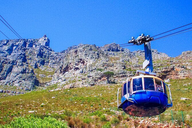 Cape Town Shore Tour: Table Mountain, Penguin & Cape Point - Getting around Cape Town: small group, pickup, and long-day reality