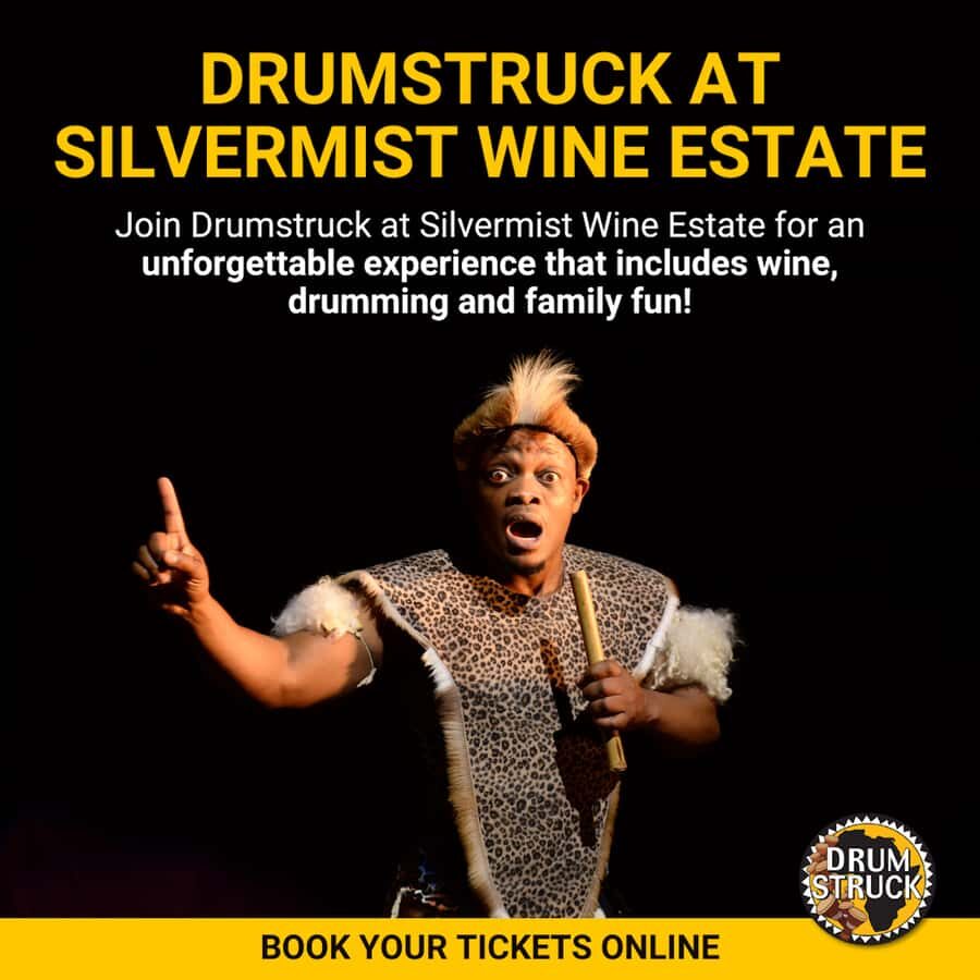 Cape Town: Silvermist Estate Wine Tasting & Drumstruck Show - Price and value: what $28 actually buys you