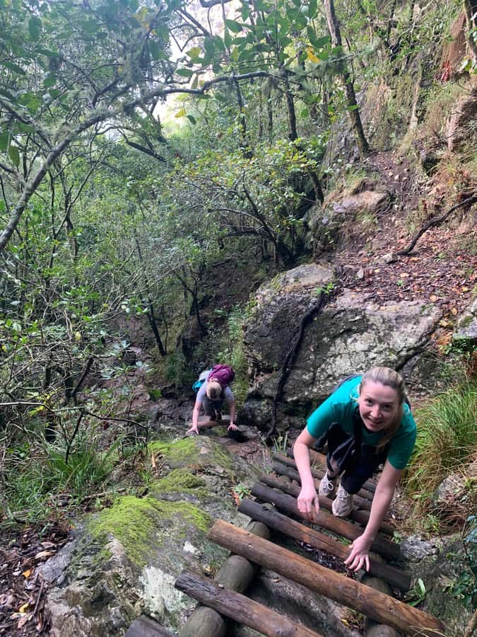 Cape Town: Skeleton Gorge and Kirstenbosch Gardens Hike - Key takeaways before you go