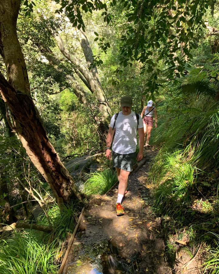 Cape Town: Skeleton Gorge and Kirstenbosch Gardens Hike - Skeleton Gorge: the forest climb that makes Table Mountain feel new
