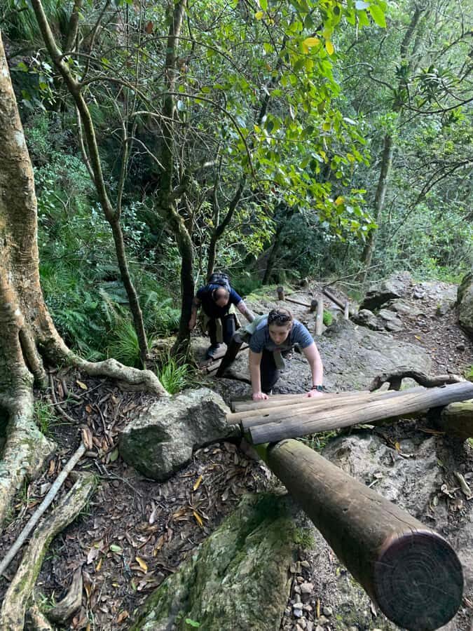 Cape Town: Skeleton Gorge and Kirstenbosch Gardens Hike - White-sand beaches near the top: toes-in-your-cooling moment
