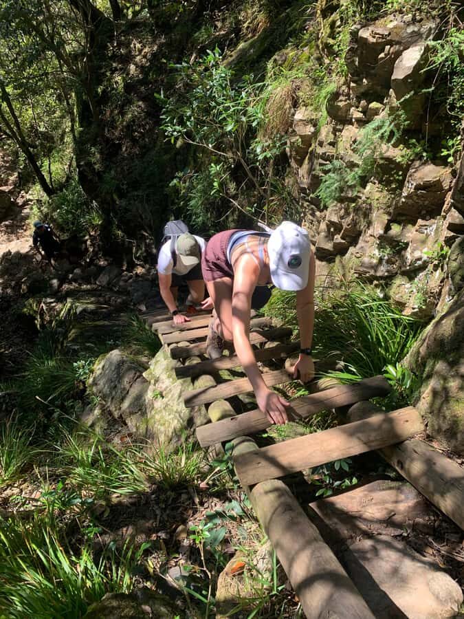 Cape Town: Skeleton Gorge and Kirstenbosch Gardens Hike - Guide style and what you learn on the way (Dohann, Tahir, Kieron)