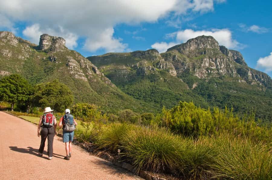 Cape Town: Skeleton Gorge and Kirstenbosch Gardens Hike - Getting back and the cable car option you can arrange