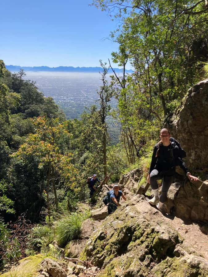 Cape Town: Skeleton Gorge Hike to Table Mountain Summit - The Skeleton Gorge Ascent: Forest Shade, Steep Rock, and Ladders