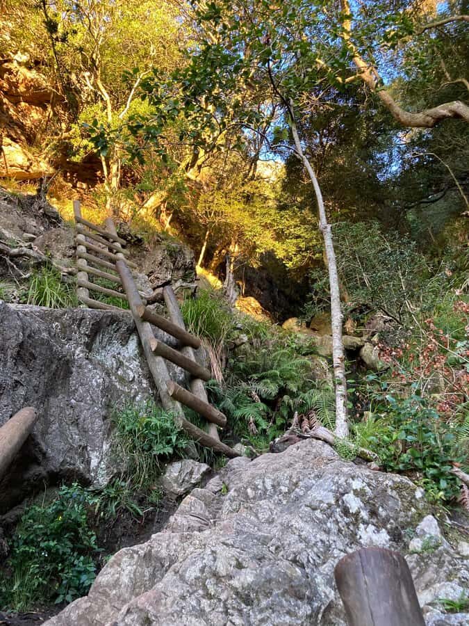 Cape Town: Skeleton Gorge Hike to Table Mountain Summit - Who Should Book This Skeleton Gorge Hike (and Who Should Skip It)