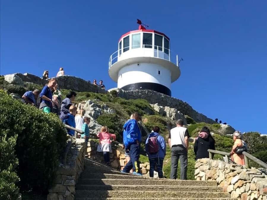 Cape Town: Some Attractions of the Cape (private & exclusiv) - The Real Value: Comfort, Attention, and a Guide Who Keeps It Moving