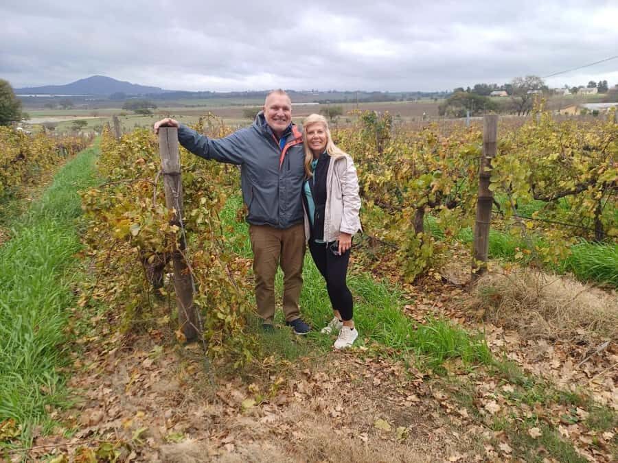 Cape Town: Stellenbosch and Paarl Half-Day Wine Tour - Key takeaways before you go