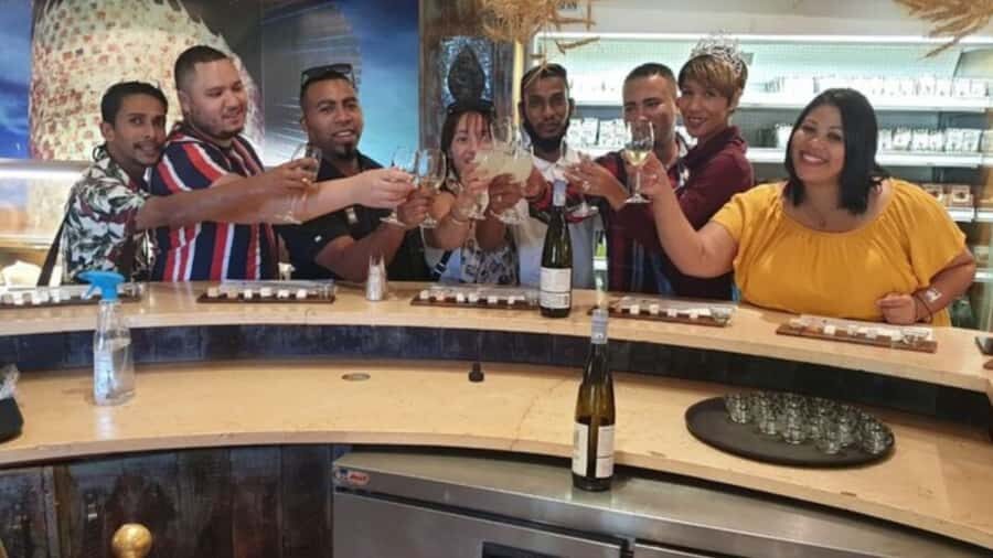 Cape Town: Stellenbosch, Franschhoek and Paarl Wine Day Trip - Key highlights at a glance