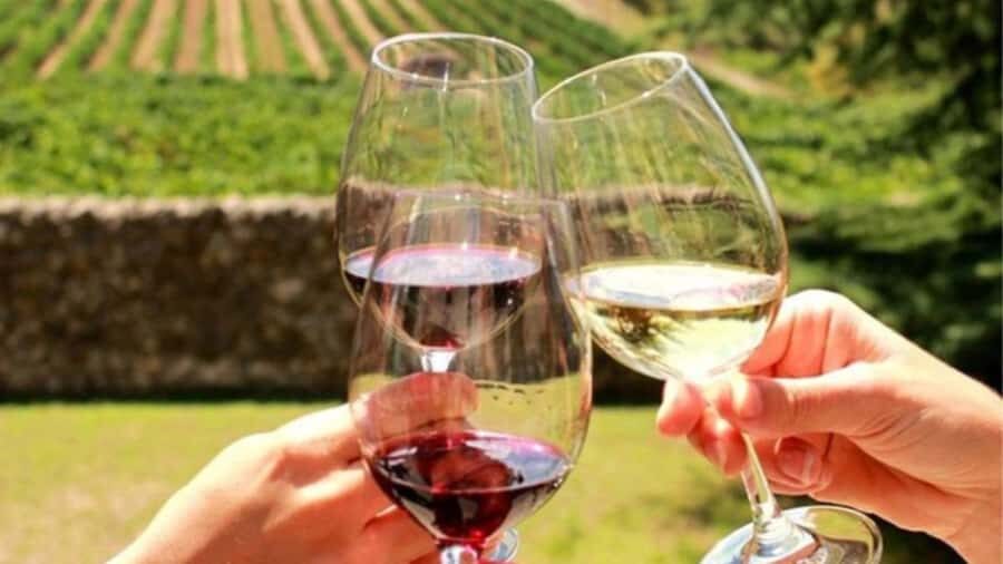 Cape Town: Stellenbosch, Franschhoek and Paarl Wine Day Trip - Biltong and wine pairing: the snack that teaches flavor matching