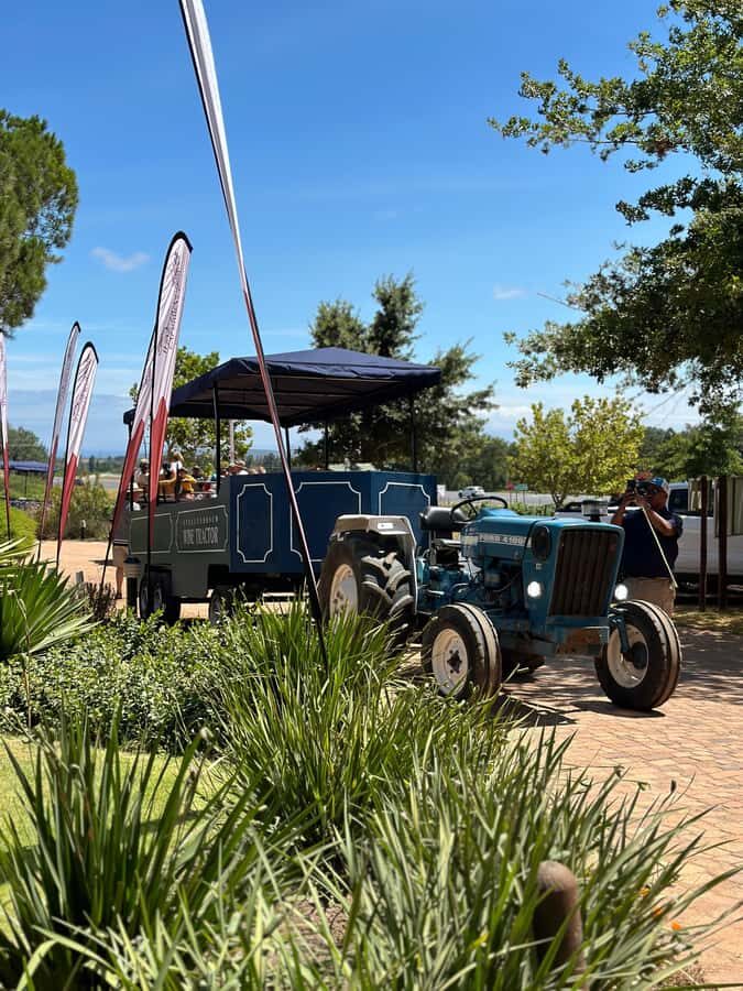 Cape Town: Stellenbosch Hop-On Hop-Off Tractor Transfer - Key things I’d put on your radar