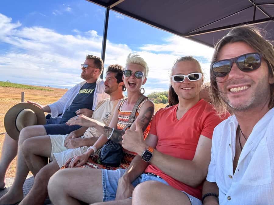 Cape Town: Stellenbosch Hop-On Hop-Off Tractor Transfer - Getting the most out of the guides (especially if you like context)