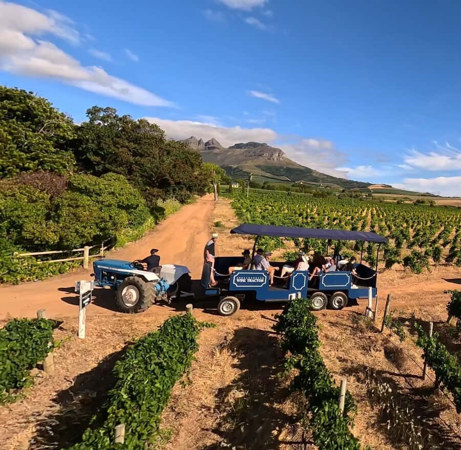Cape Town: Stellenbosch Hop-On Hop-Off Tractor Transfer - How the hop-on hop-off tractor actually works