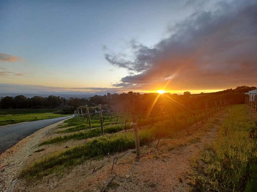 Cape Town: Stellenbosch Wine Half-Day Tour - Wine O’Clock and two carefully chosen tastings