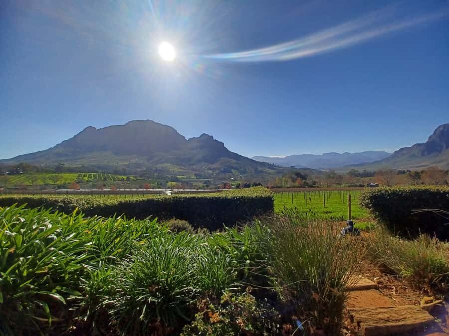 Cape Town: Stellenbosch Wine Half-Day Tour - Stellenbosch’s old town feel: Cape Dutch sights through the windows