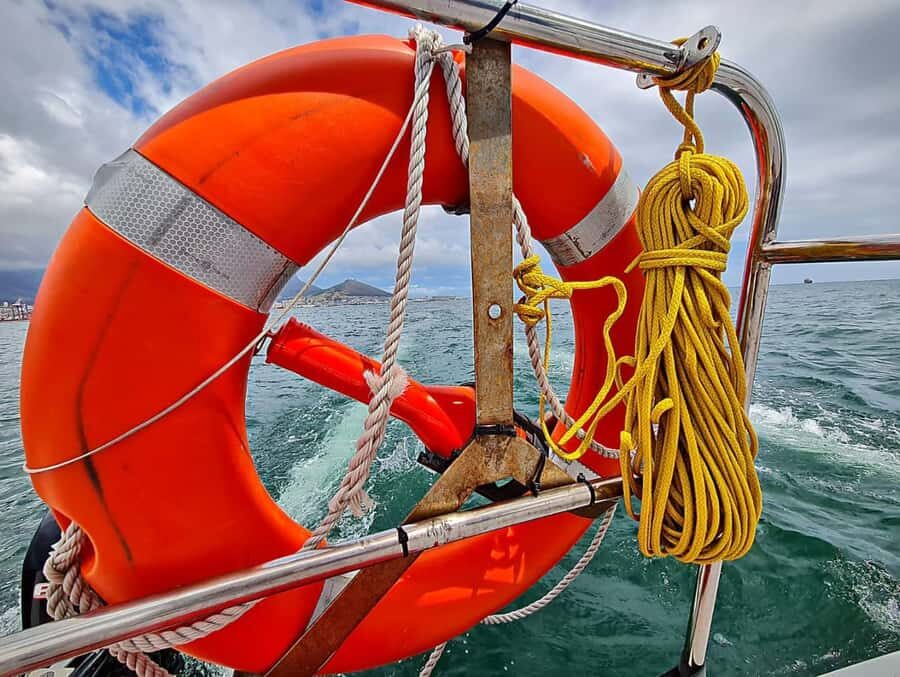 Cape Town: Table Bay Cruise by Catamaran - Key highlights worth aiming for