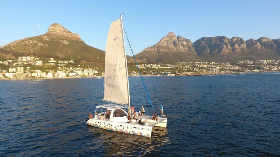 Cape Town: Table Bay Cruise by Catamaran - Why Escape Cat makes this a great 1-hour outing