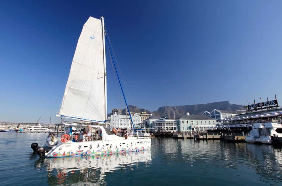 Cape Town: Table Bay Cruise by Catamaran - Deck choice: fore deck trampolines vs sheltered aft comfort