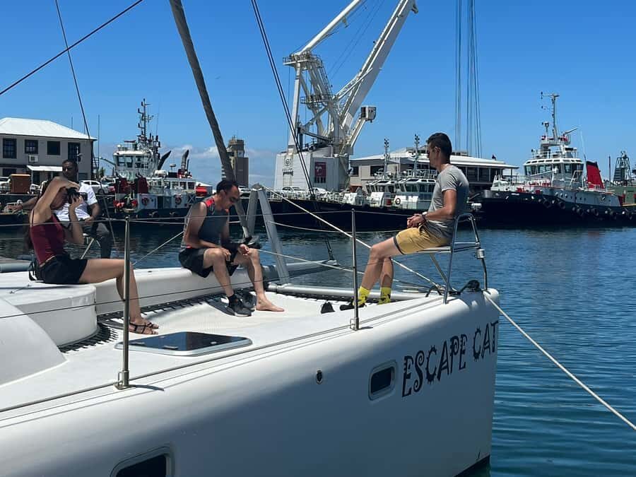 Cape Town: Table Bay Cruise by Catamaran - The captain and crew vibe: questions, features, and a relaxed tone