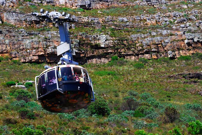 Cape Town Table Mountain and Peninsula Tour - Key things to know before you go