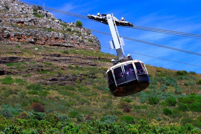Cape Town Table Mountain and Peninsula Tour - Why This Table Mountain + Cape Peninsula Day Really Works