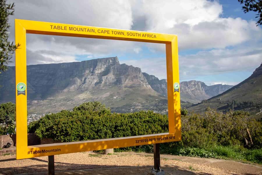 Cape Town: Table Mountain, Cape Point, and Penguins Tour - The guide matters: the human touch you can feel
