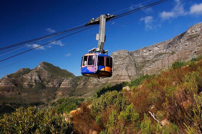 Cape Town Table Mountain Cape Point Penguins Full-Day Private Tour - Cape Town in one day: Table Mountain, Cape Point, and penguins