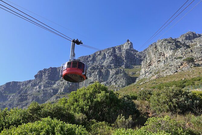 Cape Town Table Mountain Cape Point Penguins Full-Day Private Tour - Pickup to drop-off: the easiest way to avoid Peninsula driving headaches