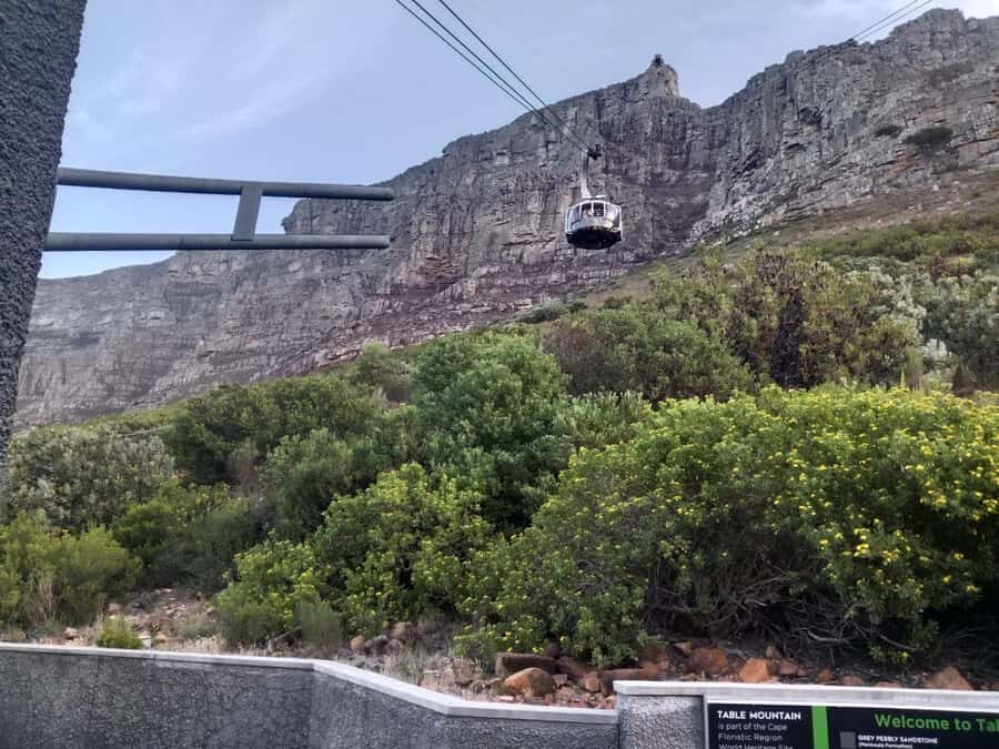 Cape Town: Table Mountain Half-Day Tour with Cable Car Ride - Price and Value: What You’re Paying For in 4 Hours