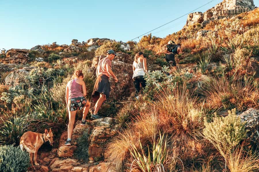 Cape Town: Table Mountain Hike via India Venster - Picnic Stops and Photo Breaks: The Climb Is Built for Views