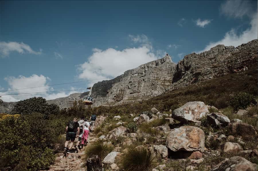 Cape Town: Table Mountain Hike with an Experienced Guide - Who this hike suits best (and who should choose something else)
