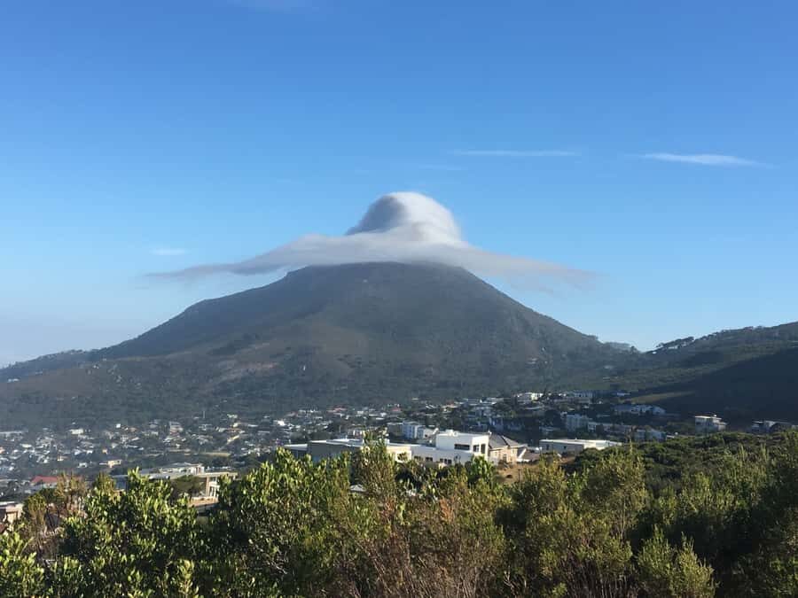 Cape Town: Table Mountain Kasteelspoort Hiking Trail - Fynbos, Protea, and cliff faces: why the plants matter here