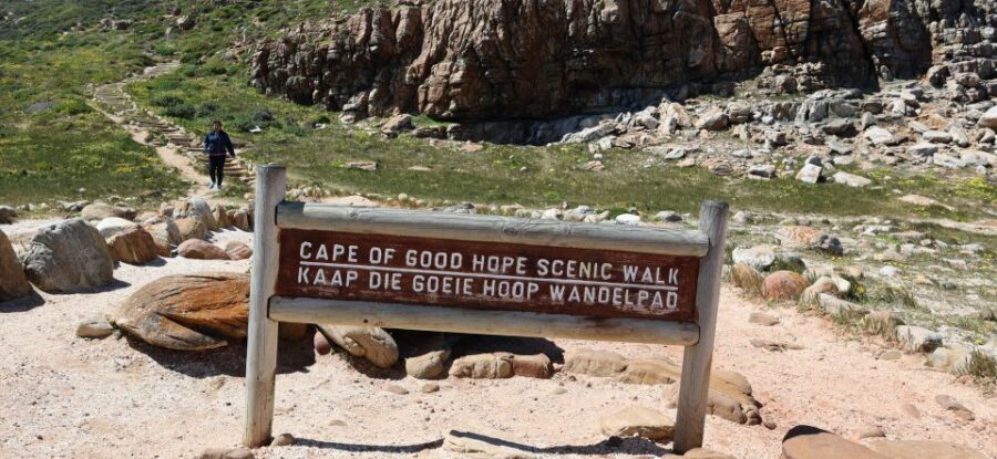 Cape Town: Table Mountain, Penguins & Cape Point Group Tour - Simon’s Town Lunch Break: A Real Breather in the Middle of the Day