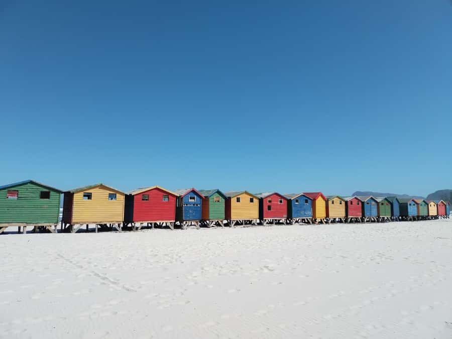 Cape Town: Table Mountain,Cape Point & Penguins Private Tour - Why This Cape Town Day Loop Works So Well