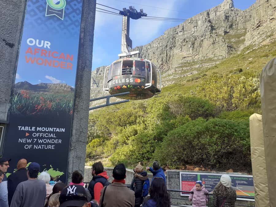 Cape Town: Table Mountain,Cape Point & Penguins Private Tour - Driving Chapman’s Peak: When the Road Becomes the Attraction