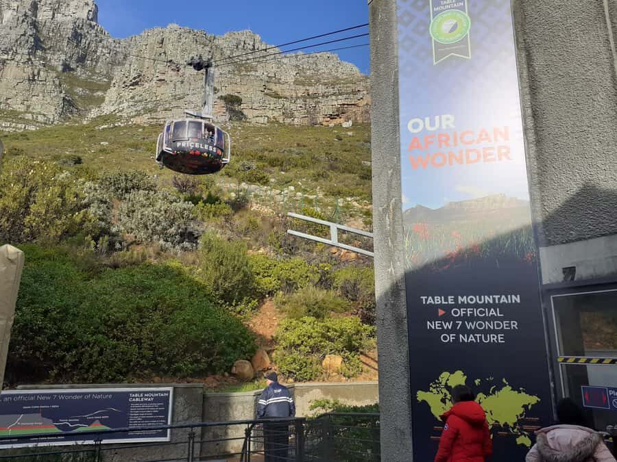 Cape Town: Table Mountain,Cape Point & Penguins Private Tour - Price and What You Still Need to Pay on the Day