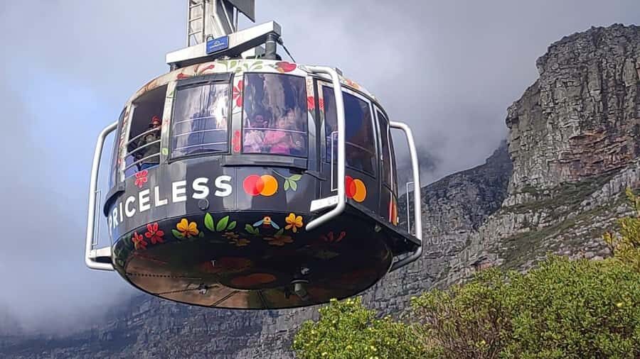 Cape Town: Table MT, Cape Point & Penguins Instagram Tour - Key highlights worth targeting