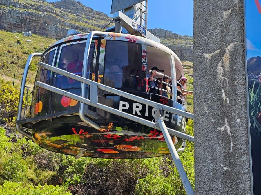 Cape Town: Table MT, Cape Point & Penguins Instagram Tour - Table Mountain: the key stop starts with your cable car timing