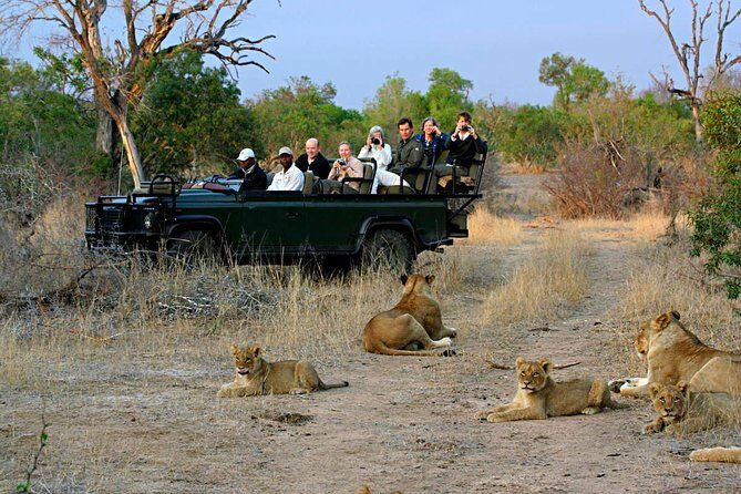 Cape Town - The Best of Aquila Safari Tour - Why this Aquila safari day works from Cape Town